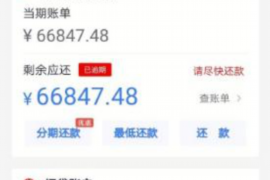 自称什么彪的讨债公司:揭秘讨债行业的灰色地带 自称什么彪的讨债公司:揭秘讨债行业的灰色地带